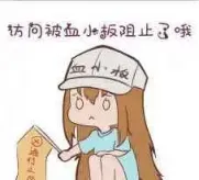 NPC-伊琳娜半果-往生堂的资源库