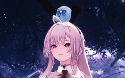 爱弥斯-新纹理兔女郎-往生堂的资源库