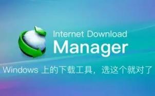 下载利器IDM 绿色版-往生堂的资源库